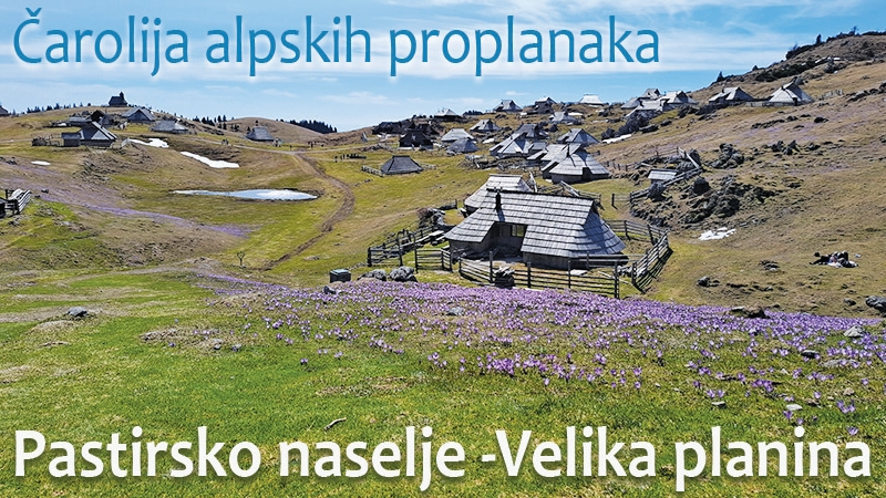 Velika planina